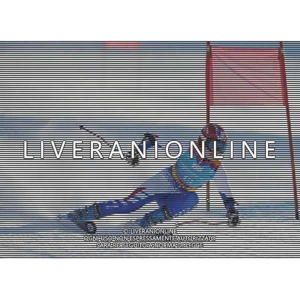 (120118) -- INNSBRUCK, Jan. 18, 2012 () -- Clara Direz of France competes during the women\'s alpine skiing giant slalom race at the first Winter Youth Olympic Games in Innsbruck, Austria, Jan. 18, 2012. Clara Direz claimed the title of the event with a time of 1:56.13. (/Xu Liang) (zc) ©photoshot/Agenzia Aldo Liverani Sas - ITALY ONLY - Giochi Olimpici della Gioventu\' a Innsbruck, Austria, 18 Gennaio 2012.