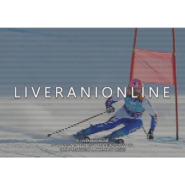 (120118) -- INNSBRUCK, Jan. 18, 2012 () -- Estelle Alphand of France competes during the women\'s alpine skiing giant slalom race at the first Winter Youth Olympic Games in Innsbruck, Austria, Jan. 18, 2012. Estelle Alphand took the silver medal of the event with a time of 1:56.34. (/Xu Liang) (zc) ©photoshot/Agenzia Aldo Liverani Sas - ITALY ONLY - Giochi Olimpici della Gioventu\' a Innsbruck, Austria, 18 Gennaio 2012.