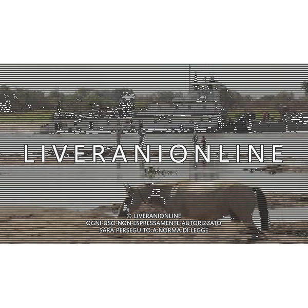 (120119) VILLETA, Jan. 19, 2012 () A freighter tries to pass through a stretch of the Paraguay River near to Villeta, Paraguay, on Jan, 18, 2012. The paraguay River this month reached the lowest water level in the past 20 years. (/Ubaldo Gonzalez) (zyw) ©photoshot/Agenzia Aldo Liverani Sas - ITALY ONLY - Un tratto del fiume Paraguay, vicino al Villeta, che in questo mese raggiunto il livello piu\' basso di acqua negli ultimi 20 anni Paraguay, il Gen, 18, 2012.