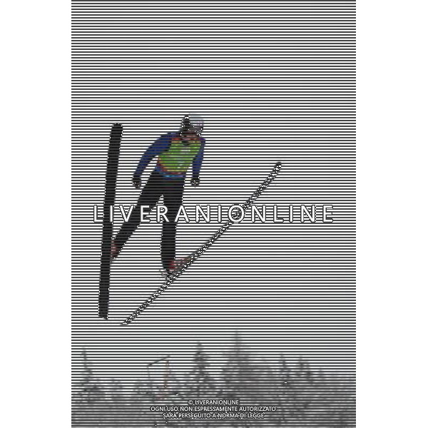 (120122) -- INNSBRUCK, Jan. 22, 2012 () -- Dusty Korek of Canada competes during the Cross-Country/Biathlon Mixed Relay at the 1st Winter Youth Olympic Games in Innsbruck, Austria, Jan. 21, 2012. Canada got the bronze medal with 587.0 points. (/Bai Xuefei) (jyc) ©photoshot/Agenzia Aldo Liverani Sas - ITALY ONLY - Austria: Giochi Olimpici della Gioventu\' a Innsbruck
