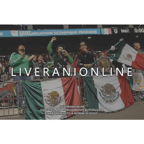 (120123) VANCOUVER, Jan. 23, 2012 () Fans of Mexico cheer during the match against Dominican Republic at the Day 4 of 2012 CONCACAF Women\'s Olympic Qualifying Soccer Tournament at BC Place in Vancouver, Canada, Jan. 22, 2012. Mexico defeated Dominican Republic 7 0 in a dominant performance. (/Sergei Bachlakov) ©photoshot/Agenzia Aldo Liverani Sas - ITALY ONLY - MESSICO - REPUBBLICA DOMINICANA Partita di qualificazione del torneo olimpico di calcio femminile 2012 CONCACAF a Vancouver, Canada 22 gennaio 2012.