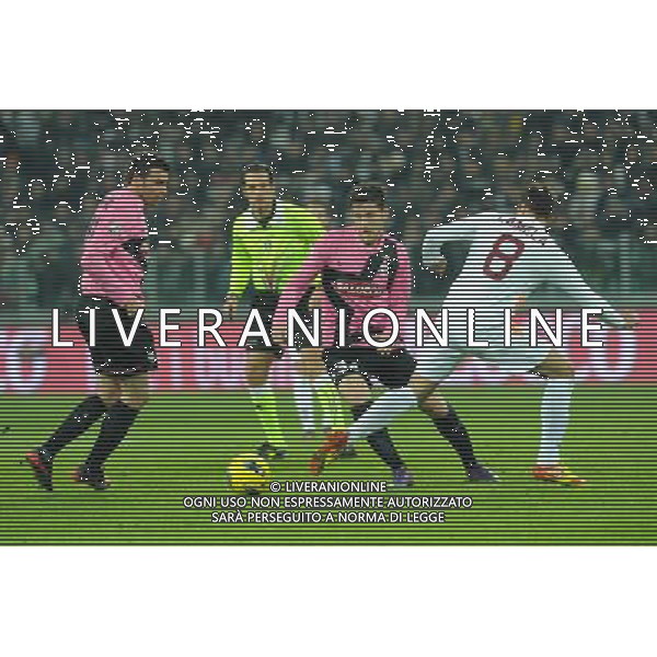 Coppa Italia TIM - Quarti di finale Torino 24-01-2012 Juventus - Roma nella foto: Marrone in azione foto Roberto Garavaglia - ag. Aldo Liverani sas