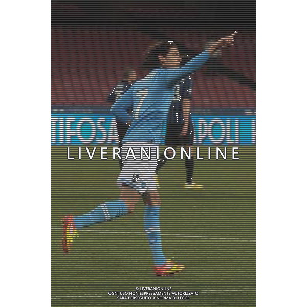 NAPOLI - INTER COPPA ITALIA TIM CUP 25/01/2012 NELLA FOTO: ESULTANZA DOPO IL GOL SU RIGORE DI EDINSON CAVANI ©MOSCA/AGENZIA ALDO LIVERANI SAS