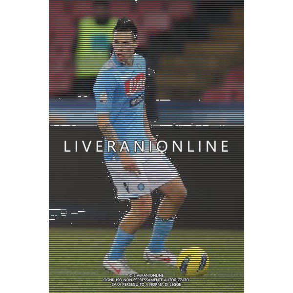 NAPOLI-INTER COPPA ITALIA TIM 25/01/2012 NELLA FOTO HAMSIK MAREK FOTO MOSCA PIETRO-AG ALDO LIVERANI S A S