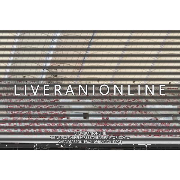 WARSZAWA 24.07.2011 DZIEN OTWARTY NA STADIONIE NARODOWYM N Z MICHAL PIESCIUK/ NEWSPIX.PL WARSAW 24.07.2011 FREE ENTRANCE TO THE NATIONAL STADIUM MICHAL PIESCIUK/ NEWSPIX.PL --- Newspix.pl EDIZIONE EUROPEI 2012 UCRAINA POLONIA CALCIO STADI AG ALDO LIVERANI SAS - ITALY ONLY - *** Local Caption *** _