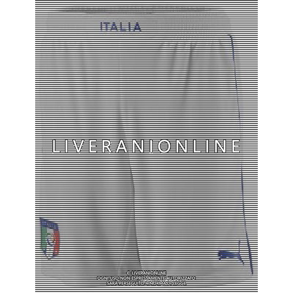 PUMA FOTO NAZIONALE ITALIANA CALCIO 2012 NELLA FOTO LE NUOVE DIVISE DELLA NAZIONALE ITALIANA DI CALCIO AG ALDO LIVERANI S A S