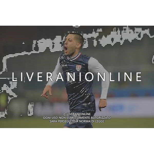 Amichevole Nazionale Genova 29-02-2012 Italia - USA nella foto: Dempsey segna 1 a 0 per gli USA foto Roberto Garavaglia - ag. Aldo Liverani sas