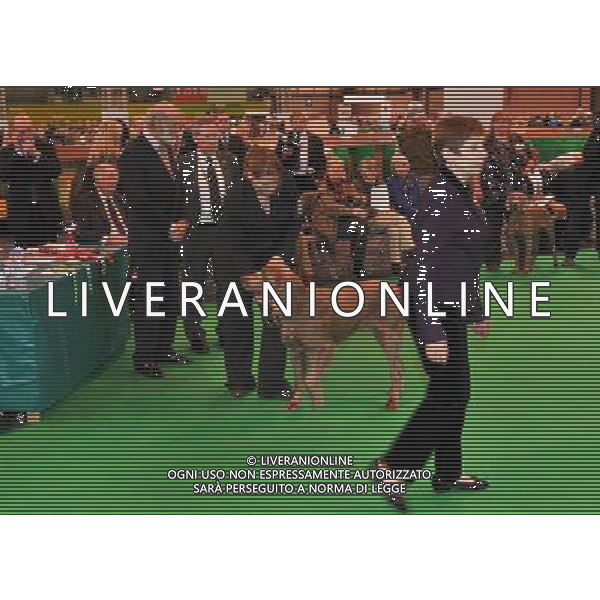 HRH Prince Michael of Kent attends Crufts 2012, Birmingham on 9th March 2012. ©photoshoit/Agenzia Aldo Liverani Sas - ITALY ONLY -SAR il Principe Michael di Kent al Crufts 2012, Birmingham il 9 marzo 2012.