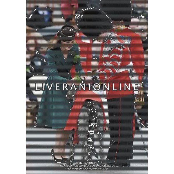 DUCHESS OF CAMBRIDGE - presents shamrocks to members of the 1st Battalion Irish Guards at the St Patrick\'s Day Parade, Mons Barracks, Aldershot on Saturday March 17 2012. 450 soldiers were on parade, accompanied by the regimental mascot Conmeal, an Irish wolfhound who received his own sprig of shamrock from the Duchess. This was her first solo military engagement and she will now inherit a tradition begun in 1901 by Queen Alexandra and more recently carried out for 32 years by the Queen Mother. Prince William is honorary Colonel of the Irish Guards. Kate Middleton, green dress, pillbox hat.NPA ROTA March 17 2012 ©photoshot/Agenzia Aldo Liverani Sas - ITALY ONLY - REALI INGLESI: Kate Middleton duchessa di Cambridge con il battaglione delle Guardie irlandesi durante la Parata del giorno di San Patrizio, Caserma Mons, Aldershot 17 Marzo 2012.
