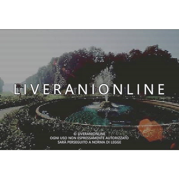 CASERTA LA REGGIA NELLA FOTO LA REGGIA DI CASERTA IFC-AG ALDO LIVERANI