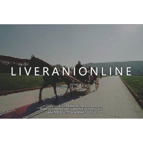 CASERTA LA REGGIA NELLA FOTO LA REGGIA DI CASERTA IFC-AG ALDO LIVERANI