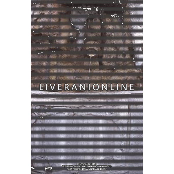 ARCHIVIO ALDO LIVERANI NELLA FOTO TRIESTE CITTA\' AG ALDO LIVERANI S A S