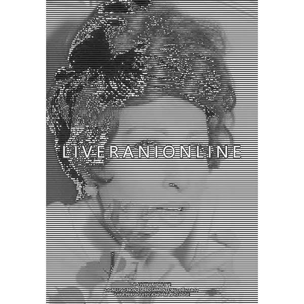 ARCHIVIO GIOVANNI LIVERANI NELLA FOTO SILVANA PAMPANINI AG ALDO LIVERANI S A S ONLY ITALY