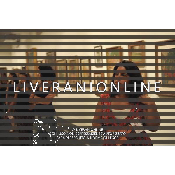 (120410) -- RIO DE JANEIRO, April 10, 2012 () -- People view Visconti\'s paintings at Museu Nacional de Belas Artes in Rio de Janeiro, Brazil, April 10, 2012. A retrospective of Brazilian impressionist painter Eliseu Visconti (1866-1944), including approximately 230 paintings by the artist, opened recently here. (/Weng Xinyang) (zx) /ALDO LIVERANI SAS-ITALY ONLY - EDITORIAL USE ONLY