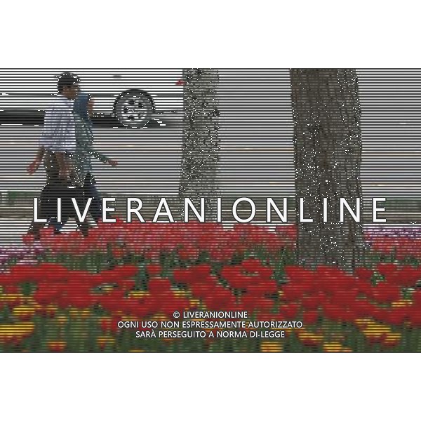 (120412) -- TEHRAN, April 12, 2012 () -- People walk past flowers at a park in Tehran, Iran, on April 12, 2012. Spring flowers blossom here as the temperature keeps rising recently. (/Ahmad Halabisaz) ©photoshot/AGENZIA ALDO LIVERANI SAS - ITALY ONLY - La gente cammina in un parco di Teheran, ricoperto da fiori di primavera dopo le alte temperature in Iran, 12 aprile 2012.
