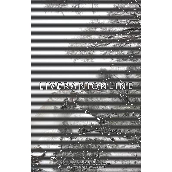 (120412) -- XI\'AN, April 12, 2012 () -- Photo taken on April 12, 2012 shows the snow scenery at Huashan Mountain Scenic Area in Xi\'an, capital of northwest China\'s Shaanxi Province. A snow hit Mt. Huashan on Thursday early morning, bringing charming sceneries to the tourist site. (/Tao Ming) (zkr) ©photoshot/AGENZIA ALDO LIVERANI SAS - ITALY ONLY - Incantevoli scenari innevati del sito turistico delle montagne Huashan ricoperte dalla neve a Xi\'an, capitale dello Shaanxi nord-ovest della Cina 12 aprile, 2012 