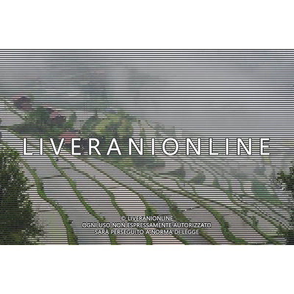 (120508) -- QIANDONGNAN, May 8, 2012 () -- Photo taken on May 7, 2012 shows the beautiful terraces in Zaige Miao Village of Jinping County, southwest China\'s Guizhou Province, May 7, 2012. (/Yang Wenbin) (llp) /photoshot/AG ALDO LIVERANI ITALY ONLY