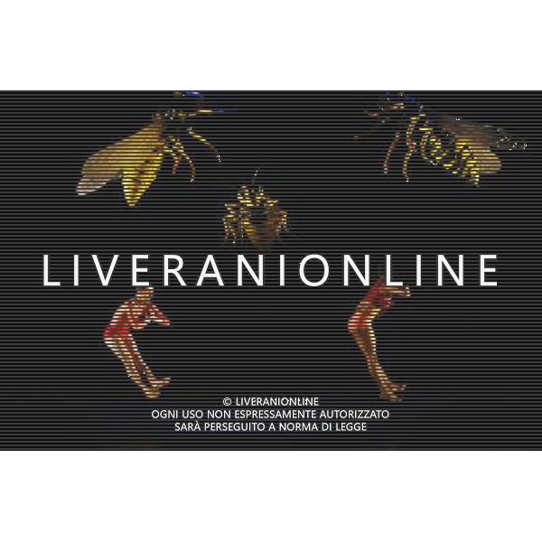 Dancers from Rambert Dance Company perform What Wild Ecstasy during a photocall at Sadler\'s Wells in London. Photo date: Tuesday May 15, 2012. The piece, choreographed by Rambert\'s Mark Baldwin, is one of four works that can be seen performed by the dance company from this evening until May 19 at Sadler\'s Wells. Photo credit: Johnny Green /ALDO LIVERANI SAS-ITALY ONLY - EDITORIAL USE ONLY