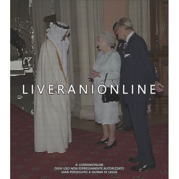 Her Majesty The Queen, accompanied by His Royal Highness The Duke of Edinburgh, gave a lunch at Windsor Castle for Sovereign Monarchs to commemorate her Diamond Jubilee. The Queen and The Duke of Edinburgh greeted their guests inside the Grand Vestibule, before joining them at a pre-lunch reception.THE CROWN PRINCE OF ABU DHABI .. ©photoshot/Agenzia Aldo Liverani Sas - ITALY ONLY - REALI INGLESI: La regina d\'inghilterra incontra Re e regine, sovrani e capi di stato di 26 paesi stranieri al Castello di Windsor per un pranzo di celebrazione del Giubileo di diamante a Londra