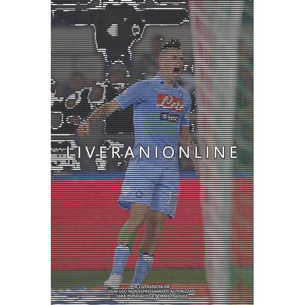 Roma - 20/05/2012 - Stadio Olimpico - Finale TIM CUP 2011/2012 - Juventus vs Napoli - nella foto: hamsik esulta dopo il gol del 2 a 0 å© Fabrizio Corradetti - Ag. Aldo Liverani sas