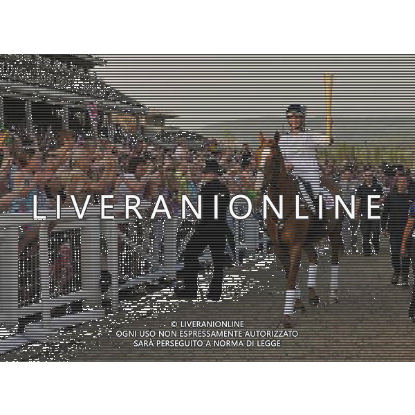  Zara Phillips on Toytown with the Olympic torch at Cheltenham Racecourse as part of the Olympic Torch Evening celebrations Date 23rd May 2012 AG ALDO LIVERANI S A S ONLY ITALY