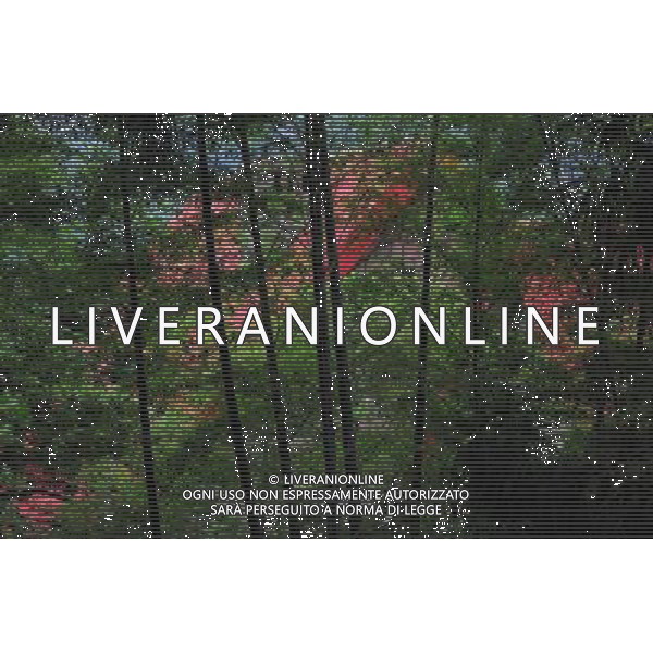 (120530) -- DEQING, May 30, 2012 () -- Photo taken on May 29, 2012 shows a villa on the Mogan Mountain in Deqing County, east China\'s Zhejiang Province. Foreigners began to build villas on the Mogan Mountain since 1896 because of its coolness and quietness. More than 250 villas, temples and chapels are preserved on the mountain. The buildings represent the architectural styles of China, Britain, Russia, the United States, France and Germany, winning the name of \'world modern architecture museum\'. The Mogan villas were listed in the six batch of national key cultural relics units of protection in May 2006. The Mogan Mountain was also selected by the New York Times as one of the 45 Places to Go in 2012. (/Tan Jin) (zkr) ©photoshot/AGENZIA ALDO LIVERANI SAS - ITALY ONLY - Piu\' di 250 ville, templi e cappelle sono conservate sulla montagna nel Monte Mogan in Deqing County, a est della Cina provincia di Zhejian 30 maggio 2012