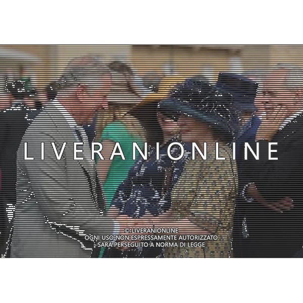 The Prince of Wales meets a guest (name not known) during a garden party at Buckingham Palace, London. ©photoshot/AGENZIA ALDO LIVERANI SAS - ITALY ONLY - La duchessa di Cambridge Kate Middleton riceve gli ospiti a Buckingham Palace per il Garden Party in occasione delle celebrazioni del giubileo di diamante della Regina Elisabetta II d\'Inghilterra a Londra il 29 maggio 2012
