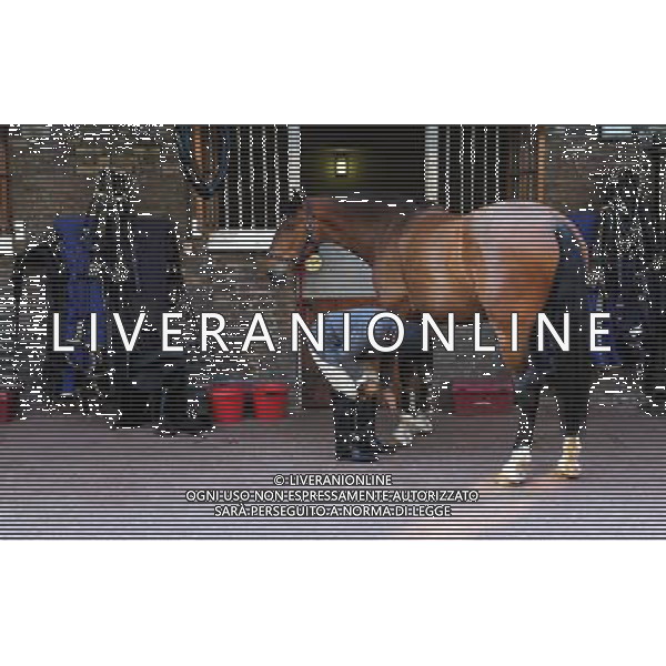 Embargoed to 0001 Tuesday May 29, 2012. Coachmen prepare the horses at the Royal Mews in Buckingham Palace, as the horses and carriages are prepared for Queen Elizabeth II\'s Diamond Jubilee. ©photoshot/AGENZIA ALDO LIVERANI SAS - ITALY ONLY - REALI INGLESI: Preparativi delle carrozze e cavalli per le celebrazioni del giubileo di diamante della regina Elisabetta II a Buckingham Palace, Londra
