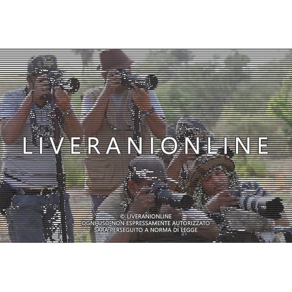 (120531) -- NEW DELHI, May 31, 2012 () -- Tourists take photos of a tiger in Rathambhore Tiger Reserve in Rajasthan State, north India, May 30, 2012. Rathambhore Tiger Reserve is one of the tiger reserves in India. It has an area of 392 square kilometers and used to be the private hunting field of the Maharaja of Jaipur. In 1980, it became the National Park and tiger reserve after Indian government banned tiger hunting. Now more than 35 adult tigers and 23 tiger cubs are recorded. (/Li Yigang) (zyw) /PHOTOSHOT/AG ALDO LIVERANI SAS -ITALY ONLY -
