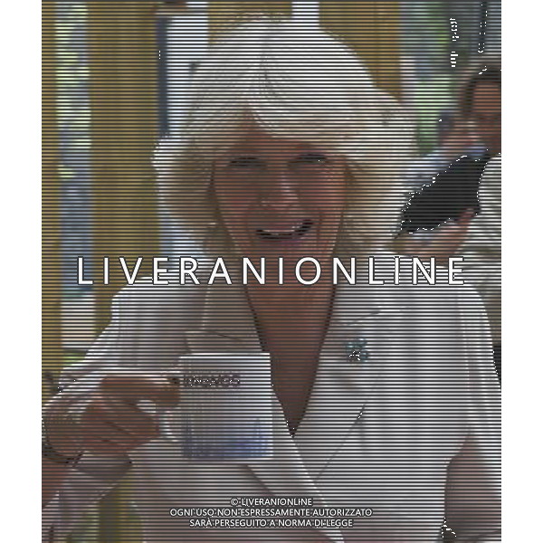  The Duchess of Cornwall toured gardens in Shoreditch and Dalston as part of a visit to the Chelsea Fringe Festival. Her Royal Highness HAS A CUP OF MINT TEA at the Dalston Eastern Curve Garden. /PHOTOSHOT/AG ALDO LIVERANI SAS -ITALY ONLY -
