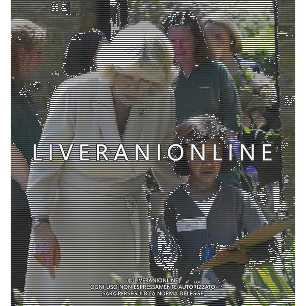  The Duchess of Cornwall toured gardens in Shoreditch and Dalston as part of a visit to the Chelsea Fringe Festival. Her Royal Highness met 6 YEAR OLD ZARA REHMAN WHO ASKED CAMILLA HER NAME. THE DUCHESS REPLIED \'CAMILLA\'. ZARA \'S POPPED OPEN WITH SURPRISE AT THE Geffrye Museum in Hackney . /PHOTOSHOT/AG ALDO LIVERANI SAS -ITALY ONLY -