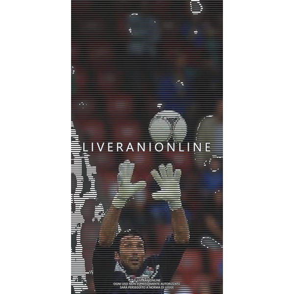 Partita Amichevole in vista di EURO 2012 Zurigo - 01.06.2012 Italia-Russia Nella Foto:Buffon Gianluigi /Ph.Vitez-Ag. Aldo Liverani