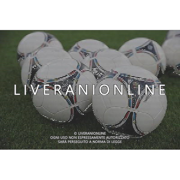 Partita Amichevole in vista di EURO 2012 Zurigo - 01.06.2012 Italia-Russia Nella Foto:Palloni EURO 2012 /Ph.Vitez-Ag. Aldo Liverani