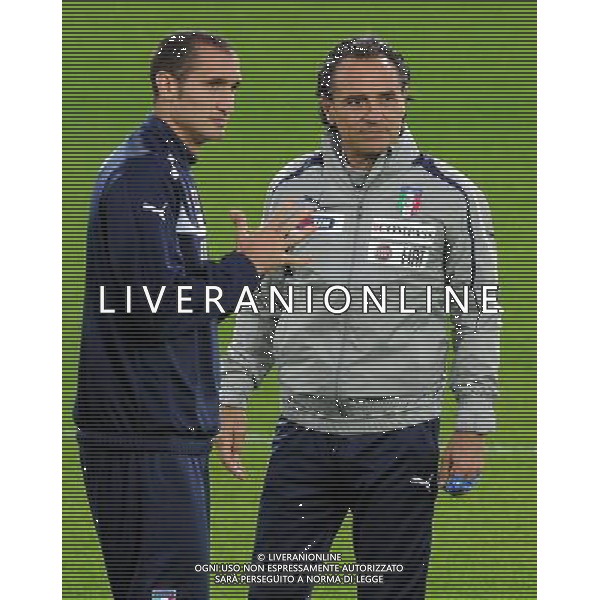 Campionati Europei UEFA 2012 Polonia/Ucraina Cracovia (Polonia) - 05.06.2012 Allenamento Nazionale Italiana Nella Foto:prandelli chiellini /Ph.Vitez-Ag. Aldo Liverani