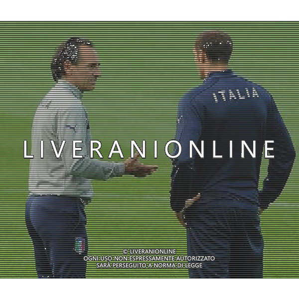 Campionati Europei UEFA 2012 Polonia/Ucraina Cracovia (Polonia) - 06.06.2012 Allenamento Nazionale Italiana Nella Foto:prandelli cesare e giorgio chiellini /Ph.Vitez-Ag. Aldo Liverani