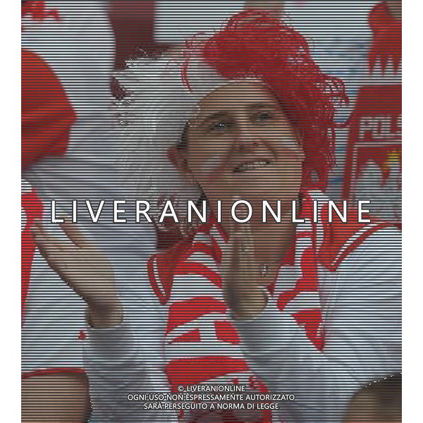 Campionati Europei UEFA 2012 Polonia/Ucraina Gruppo A Varsavia (Polonia) - 08.06.2012 Polonia-Grecia Nella Foto:tifosi polonia /Ph.Vitez-Ag. Aldo Liverani