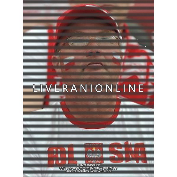 Campionati Europei UEFA 2012 Polonia/Ucraina Gruppo A Varsavia (Polonia) - 08.06.2012 Polonia-Grecia Nella Foto:tifosi polonia /Ph.Vitez-Ag. Aldo Liverani