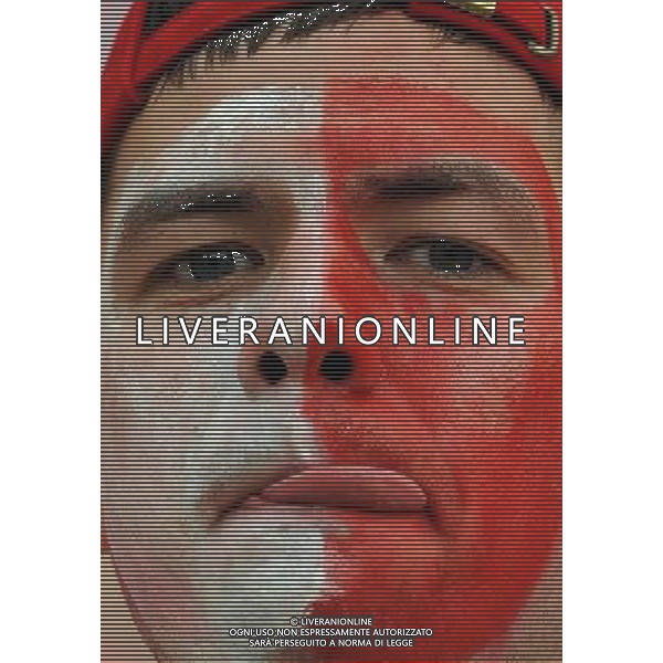 Campionati Europei UEFA 2012 Polonia/Ucraina Gruppo A Varsavia (Polonia) - 08.06.2012 Polonia-Grecia Nella Foto:tifosi polonia /Ph.Vitez-Ag. Aldo Liverani