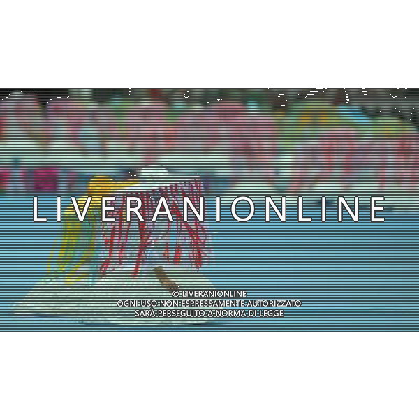 Campionati Europei UEFA 2012 Polonia/Ucraina Gruppo A Varsavia (Polonia) - 08.06.2012 Polonia-Grecia Nella Foto:cerimonia d\'inaugurazione /Ph.Vitez-Ag. Aldo Liverani