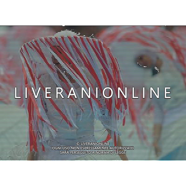 Campionati Europei UEFA 2012 Polonia/Ucraina Gruppo A Varsavia (Polonia) - 08.06.2012 Polonia-Grecia Nella Foto:cerimonia d\'inaugurazione /Ph.Vitez-Ag. Aldo Liverani