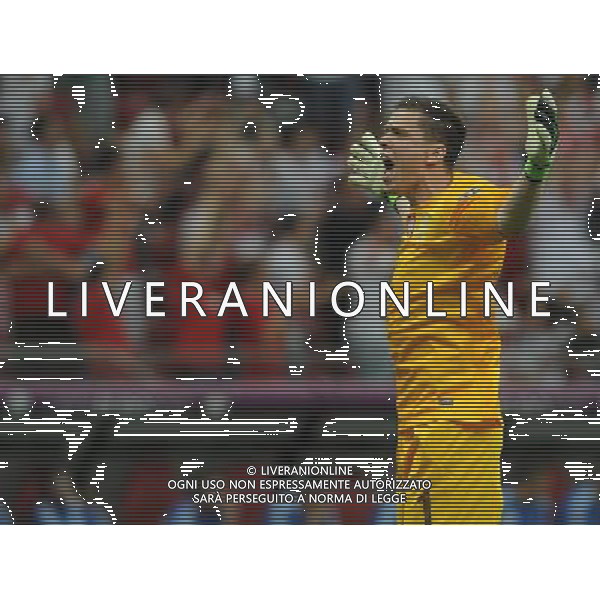 Campionati Europei UEFA 2012 Polonia/Ucraina Gruppo A Varsavia (Polonia) - 08.06.2012 Polonia-Grecia Nella Foto:szczesny esulta al gol di lewandowski /Ph.Vitez-Ag. Aldo Liverani