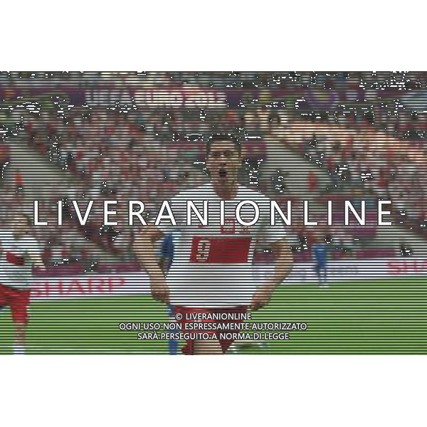 WARSZAWA 08.06.2012 MECZ MISTRZOSTWA EUROPY 2012 GRUPA A: POLSKA - GRECJA --- UEFA EURO 2012 CHAMPIONSHIP GROUP A MATCH IN WARSAW: POLAND - GREECE ROBERT LEWANDOWSKI BRAMKA GOL RADOSC FOT. PIOTR KUCZA/NEWSPIX.PL --- Newspix.pl /AGENZIA ALDO LIVERANI SAS - ITALY ONLY - EDITORIAL USE ONLY Polonia - Grecia Campionati Europei UEFA 2012 Polonia/Ucraina Gruppo A Varsavia (Polonia) 08/06/2012 *** Local Caption *** www.newspix.pl mail us: info@newspix.pl call us: 0048 022 23 22 222 --- Polish Picture Agency by Ringier Axel Springer Poland