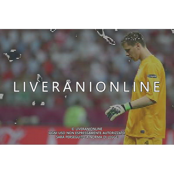 08.06.2012 WARSZAWA - STADION NARODOWY ( WARSAW POLAND NATIONAL STADIUM) PILKA NOZNA (FOOTBALL ) MISTRZOSTWA EUROPY W PILCE NOZNEJ UEFA EURO 2012 ( EUROPEAN CHAPIONSHIPS UEFA EURO 2012 ) GRUPA A ( POOL A ) MECZ POLSKA - GRECJA ( GAME POLAND - GREECE ) NZ WOJCIECH SZCZESNY FOTO LUKASZ GROCHALA/CYFRASPORT/NEWSPIX.PL --- Newspix.pl /AGENZIA ALDO LIVERANI SAS - ITALY ONLY - EDITORIAL USE ONLY Polonia - Grecia Campionati Europei UEFA 2012 Polonia/Ucraina Gruppo A Varsavia (Polonia) 08/06/2012 *** Local Caption *** www.newspix.pl mail us: info@newspix.pl call us: 0048 022 23 22 222 --- Polish Picture Agency by Ringier Axel Springer Poland