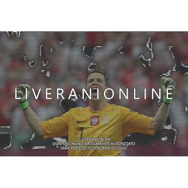 08.06.2012 WARSZAWA - STADION NARODOWY ( WARSAW POLAND NATIONAL STADIUM) PILKA NOZNA (FOOTBALL ) MISTRZOSTWA EUROPY W PILCE NOZNEJ UEFA EURO 2012 ( EUROPEAN CHAMPIONSHIPS UEFA EURO 2012 ) GRUPA A ( POOL A ) MECZ POLSKA - GRECJA ( GAME POLAND - GREECE ) NZ RADOSC BRAMKA GOL WOJCIECH SZCZESNY FOTO MATEUSZ TRZUSKOWSKI/CYFRASPORT/NEWSPIX.PL --- Newspix.pl /AGENZIA ALDO LIVERANI SAS - ITALY ONLY - EDITORIAL USE ONLY Polonia - Grecia Campionati Europei UEFA 2012 Polonia/Ucraina Gruppo A Varsavia (Polonia) 08/06/2012 *** Local Caption *** www.newspix.pl mail us: info@newspix.pl call us: 0048 022 23 22 222 --- Polish Picture Agency by Ringier Axel Springer Poland