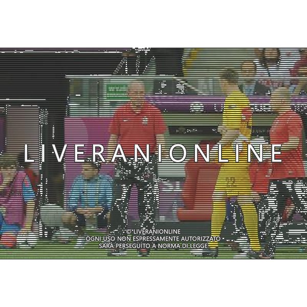 08.06.2012 WARSZAWA PILKA NOZNA KADRA REPREZENTACJA EURO2012 POLSKA I UKRAINA FOOTBALL UEFA EURO 2012 POLAND AND UKRAINE POLSKA - GRECJA POLAND VS. GREECE N/Z ZMIANA FRANCISZEK SMUDA (TRENER, HEAD COACH) PRZEMYSLAW TYTON FOT LUKASZ LASKOWSKI / PRESSFOCUS NEWSPIXPL --- Newspix.pl /AGENZIA ALDO LIVERANI SAS - ITALY ONLY - EDITORIAL USE ONLY Polonia - Grecia Campionati Europei UEFA 2012 Polonia/Ucraina Gruppo A Varsavia (Polonia) 08/06/2012 *** Local Caption *** www.newspix.pl mail us: info@newspix.pl call us: 0048 022 23 22 222 --- Polish Picture Agency by Ringier Axel Springer Poland