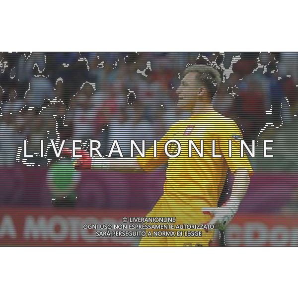 08.06.2012 WARSZAWA (WARSAW POLAND) STADION NARODOWY (NATIONAL STADIUM) PILKA NOZNA (FOOTBALL) UEFA EURO 2012 POLAND UKRAINE MISTRZOSTWA EUROPY W PILCE NOZNEJ POLSKA UKRAINA MECZ OTWARCIA POLSKA - GRECJA (POLAND - GREECE) N/Z PRZEMYSLAW TYTON ZMIENIL W BRAMCE WOJTKA SZCZESNEGO I OBRONIL KARNEGO RADOSC TYTONIA FOTO NORBERT BARCZYK / PRESSFOCUS/NEWSPIX.PL --- Newspix.pl /AGENZIA ALDO LIVERANI SAS - ITALY ONLY - EDITORIAL USE ONLY Polonia - Grecia Campionati Europei UEFA 2012 Polonia/Ucraina Gruppo A Varsavia (Polonia) 08/06/2012 *** Local Caption *** www.newspix.pl mail us: info@newspix.pl call us: 0048 022 23 22 222 --- Polish Picture Agency by Ringier Axel Springer Poland