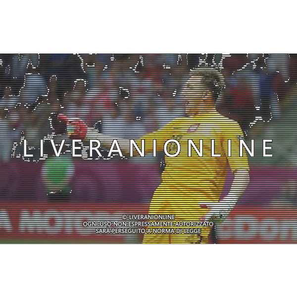 08.06.2012 WARSZAWA (WARSAW POLAND) STADION NARODOWY (NATIONAL STADIUM) PILKA NOZNA (FOOTBALL) UEFA EURO 2012 POLAND UKRAINE MISTRZOSTWA EUROPY W PILCE NOZNEJ POLSKA UKRAINA MECZ OTWARCIA POLSKA - GRECJA (POLAND - GREECE) N/Z PRZEMYSLAW TYTON ZMIENIL W BRAMCE WOJTKA SZCZESNEGO I OBRONIL KARNEGO RADOSC TYTONIA FOTO NORBERT BARCZYK / PRESSFOCUS/NEWSPIX.PL --- Newspix.pl /AGENZIA ALDO LIVERANI SAS - ITALY ONLY - EDITORIAL USE ONLY Polonia - Grecia Campionati Europei UEFA 2012 Polonia/Ucraina Gruppo A Varsavia (Polonia) 08/06/2012 *** Local Caption *** www.newspix.pl mail us: info@newspix.pl call us: 0048 022 23 22 222 --- Polish Picture Agency by Ringier Axel Springer Poland