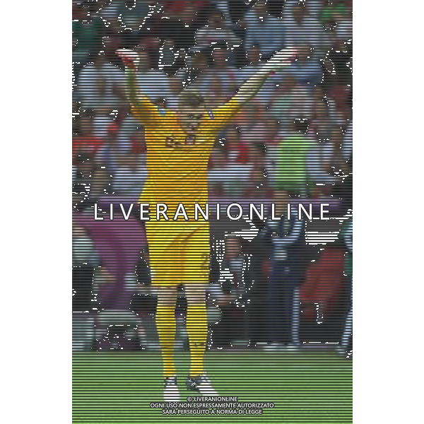 08.06.2012 WARSZAWA (WARSAW POLAND) STADION NARODOWY (NATIONAL STADIUM) PILKA NOZNA (FOOTBALL) UEFA EURO 2012 POLAND UKRAINE MISTRZOSTWA EUROPY W PILCE NOZNEJ POLSKA UKRAINA MECZ OTWARCIA POLSKA - GRECJA (POLAND - GREECE) N/Z PRZEMYSLAW TYTON ZMIENIL W BRAMCE WOJTKA SZCZESNEGO I OBRONIL KARNEGO RADOSC TYTONIA FOTO NORBERT BARCZYK / PRESSFOCUS/NEWSPIX.PL --- Newspix.pl /AGENZIA ALDO LIVERANI SAS - ITALY ONLY - EDITORIAL USE ONLY Polonia - Grecia Campionati Europei UEFA 2012 Polonia/Ucraina Gruppo A Varsavia (Polonia) 08/06/2012 *** Local Caption *** www.newspix.pl mail us: info@newspix.pl call us: 0048 022 23 22 222 --- Polish Picture Agency by Ringier Axel Springer Poland