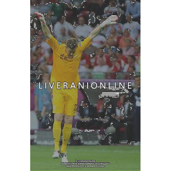 08.06.2012 WARSZAWA (WARSAW POLAND) STADION NARODOWY (NATIONAL STADIUM) PILKA NOZNA (FOOTBALL) UEFA EURO 2012 POLAND UKRAINE MISTRZOSTWA EUROPY W PILCE NOZNEJ POLSKA UKRAINA MECZ OTWARCIA POLSKA - GRECJA (POLAND - GREECE) N/Z PRZEMYSLAW TYTON ZMIENIL W BRAMCE WOJTKA SZCZESNEGO I OBRONIL KARNEGO RADOSC TYTONIA FOTO NORBERT BARCZYK / PRESSFOCUS/NEWSPIX.PL --- Newspix.pl /AGENZIA ALDO LIVERANI SAS - ITALY ONLY - EDITORIAL USE ONLY Polonia - Grecia Campionati Europei UEFA 2012 Polonia/Ucraina Gruppo A Varsavia (Polonia) 08/06/2012 *** Local Caption *** www.newspix.pl mail us: info@newspix.pl call us: 0048 022 23 22 222 --- Polish Picture Agency by Ringier Axel Springer Poland