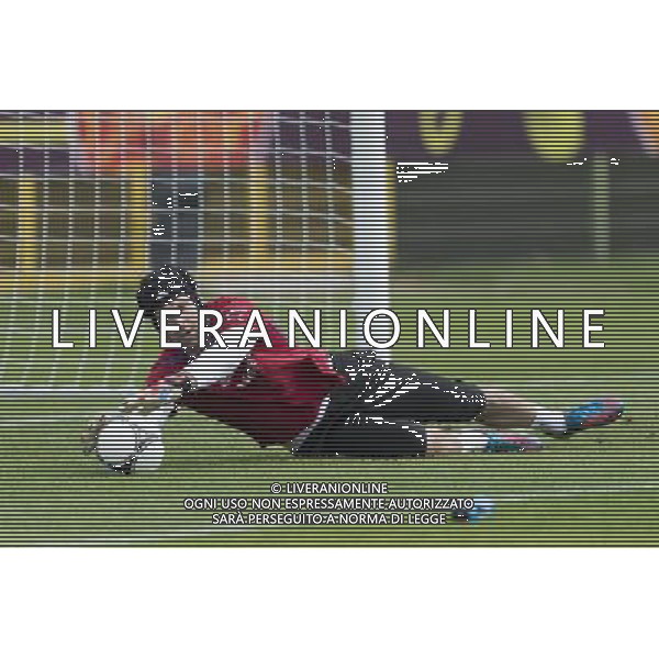 WROCLAW 09 06 2012 TRENING REPREZENTACJI CZECH NA STADIONIE PRZY OPOROWSKIEJ DZIEN PO PO PRZEGRANYM MECZU Z ROSJA 1 4 N Z PETR CECH Czech Republic SEBASTIAN BOROWSKI Newspix.pl TRAINING OF CZECH REPUBLIC NATIONAL FOOTBALL TEAM AT MUNICIPAL STADIUM OPOROWSKA WROCLAW DAY AFTER THE GAME WITH RUSSIA --- Newspix.pl AG ALDO LIVERANI S A S ONLY ITALY *** Local Caption *** www.newspix.pl mail us: info@newspix.pl call us: 0048 022 23 22 222 --- Polish Picture Agency by Ringier Axel Springer Poland